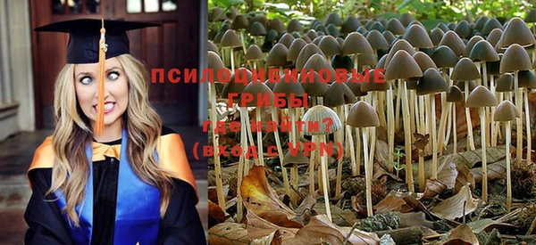 не бодяженный Переславль-Залесский