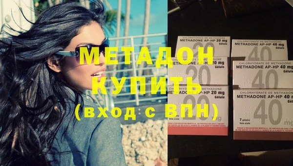 стафф Гатчина
