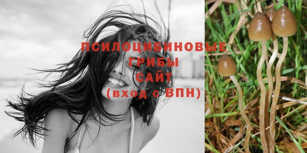 не бодяженный Переславль-Залесский