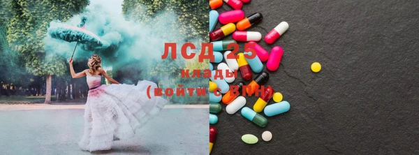 герыч Пересвет