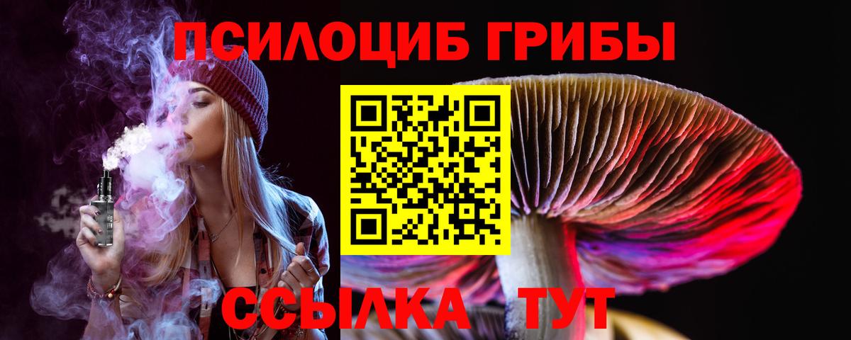 Луховицы  Галлюциногенные грибы GOLDEN TEACHER  Вход с VPN  сколько стоит  Галлюциногенные грибы мухоморы 